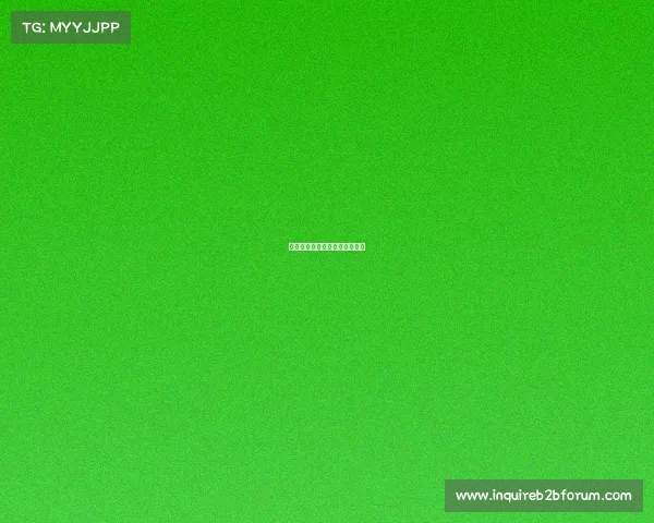 足球各赛事图像—足球赛事照片